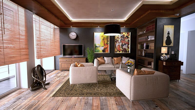 apartment-living room rug